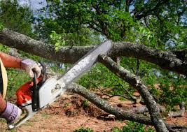 Best Lawn Grading and Leveling  in Madeira, OH